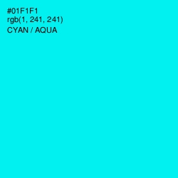 #01F1F1 - Cyan / Aqua Color Image